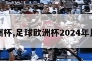 足球欧洲杯,足球欧洲杯2024年比赛结果