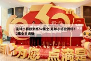 足球小将欧洲杯52集全,足球小将欧洲杯52集全日语版